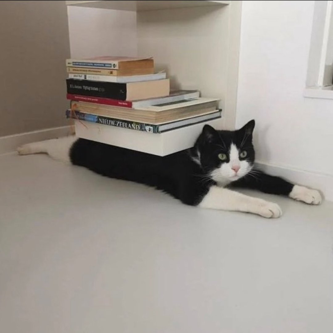 Soltype AI tweet media