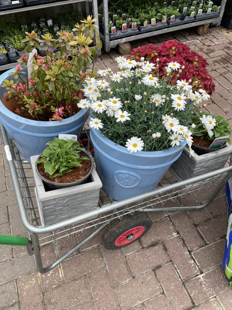 Can’t beat a bank holiday garden centre haul
