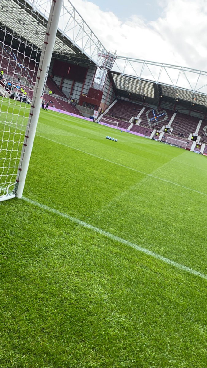 Steven Ross tweet media