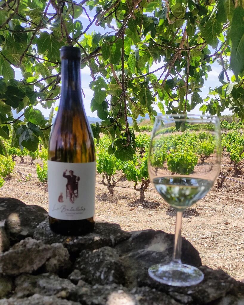 Lo Batalletes, un vi blanc de carinyena, únic i diferent, amb aromes que recorden els dels blancs però amb molta més complexitat i amb un volum i untuositat en boca que el fa molt especial i que parla per si sol.
DO Terra Alta

#doterraalta #wine #winelover #winestagram #win…