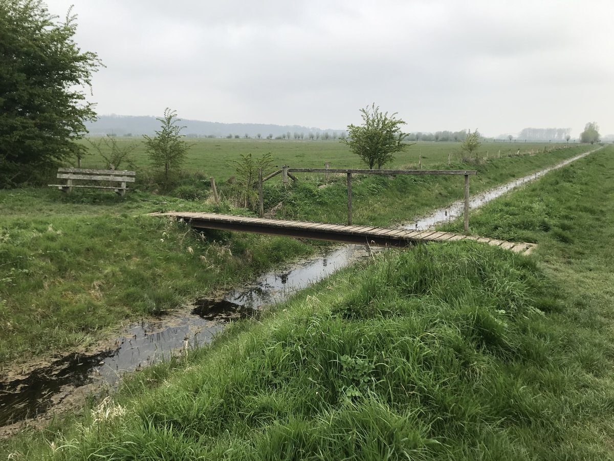 "Nu achteraf (2 weken later) verlang ik nog weleens terug naar de rust en stilte en de leegte in mijn hoofd die ik daar ervaren heb. Het was zo’n bijzondere tocht die ik nooit zal vergeten! "
Wendy Hermsen uit Mill
(pelgrim 13.538) walkofwisdom.org/?p=39913