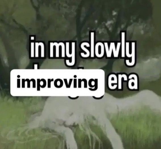 RespectfulMemes's tweet photo. https://t.co/3bPX63DVc2
