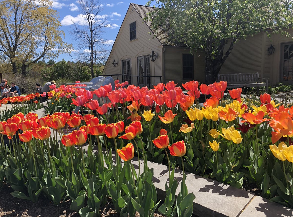 Nice to get out and walk yesterday <a href="/NewEnglandBG/">New England Botanic Garden at Tower Hill</a>