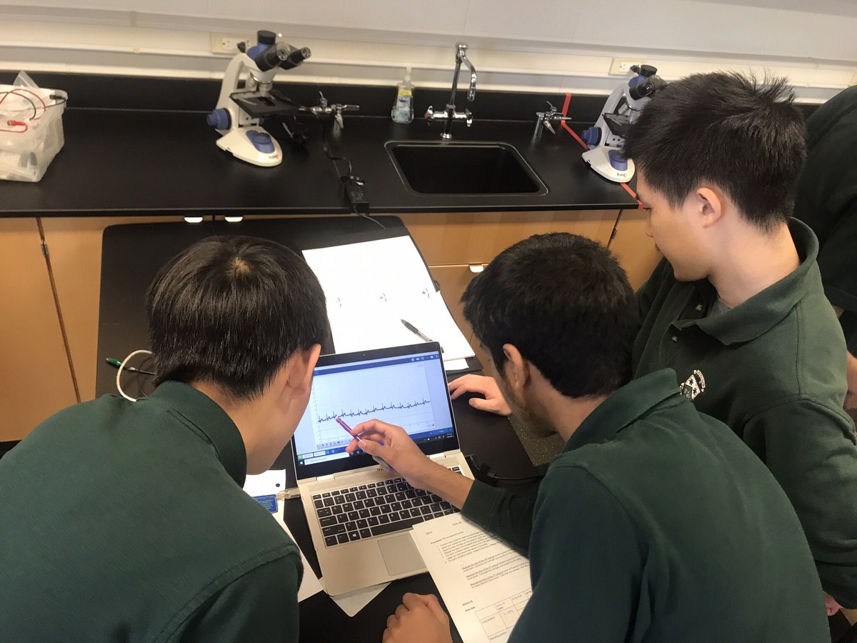 How is your heart doing?Grade 11 <a href="/HillStrath/">HillfieldStrathallan</a> bio students working on the ECG lab