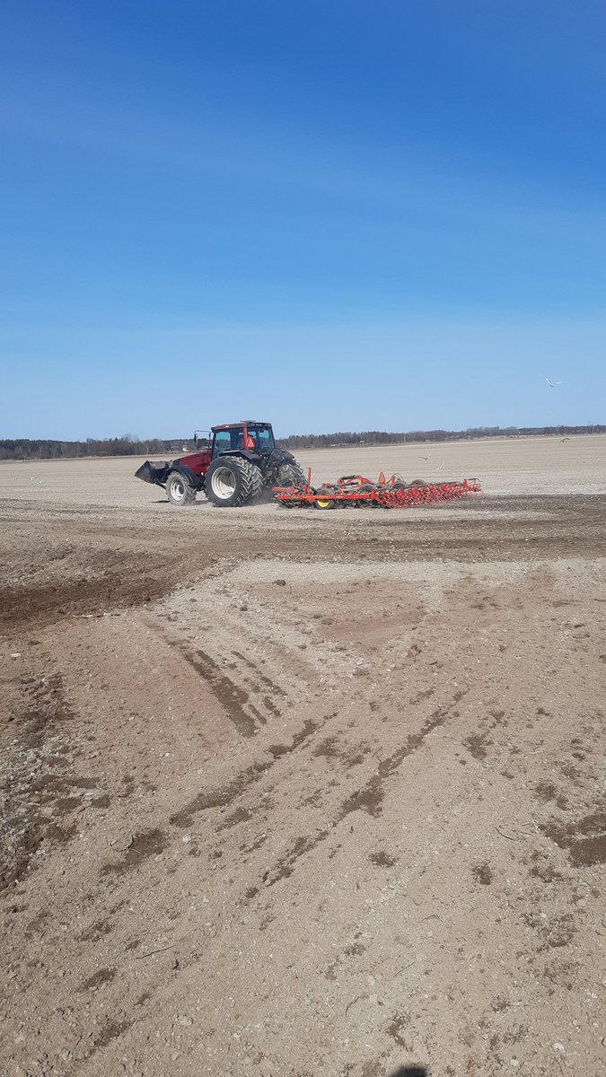 Vårbruket 2023 har börjat, harvning idag och imorgon sådd av bondbönor.