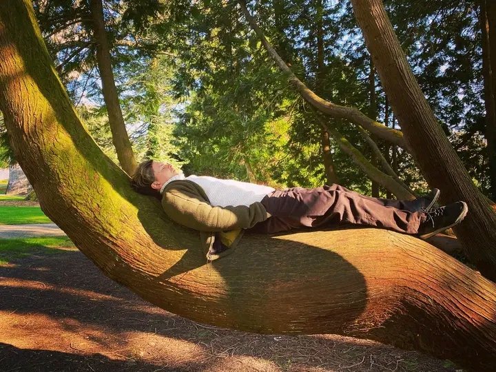 Michael_KellyP's tweet photo. Best place to hang 🇮🇪☘️
#TreeSleep https://t.co/cA96pndhmF