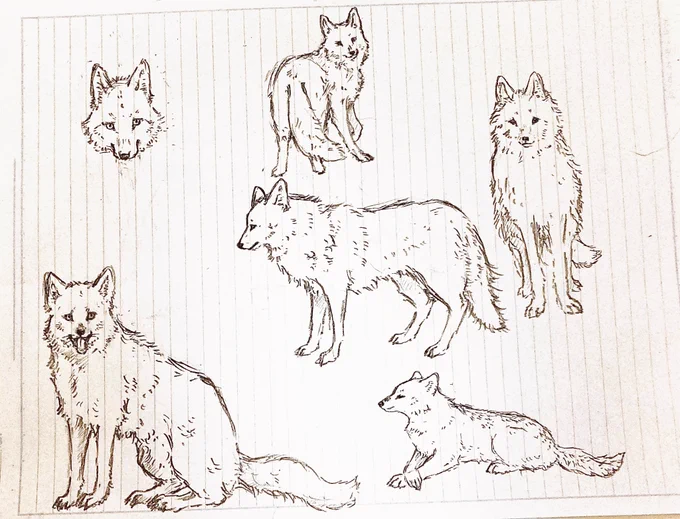 らくがき 