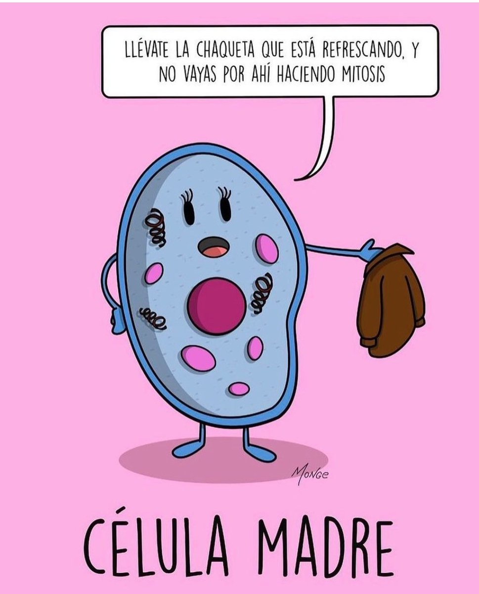 ElBichologo's tweet photo. ¡¡Feliz día de la madre!! https://t.co/SyafPc16ot