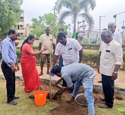 Hey #Chennai
In continuation to yesterday's post abt people's representatives spearheading #greening activity. Here are some pics of planting trees in central region.
Saplings planted by Ward Councillor in Hindustan Nagar Park at Dn 83, Zn 7
#ChennaiCorporation
#GreeningChennai