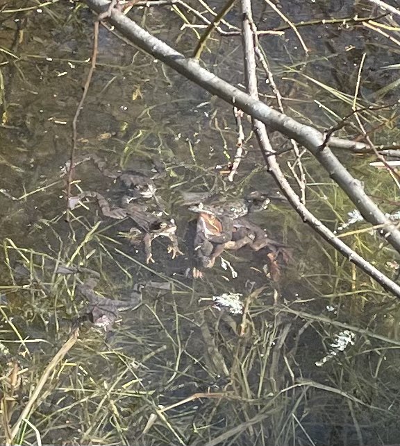 Aage Borchgrevink tweet media