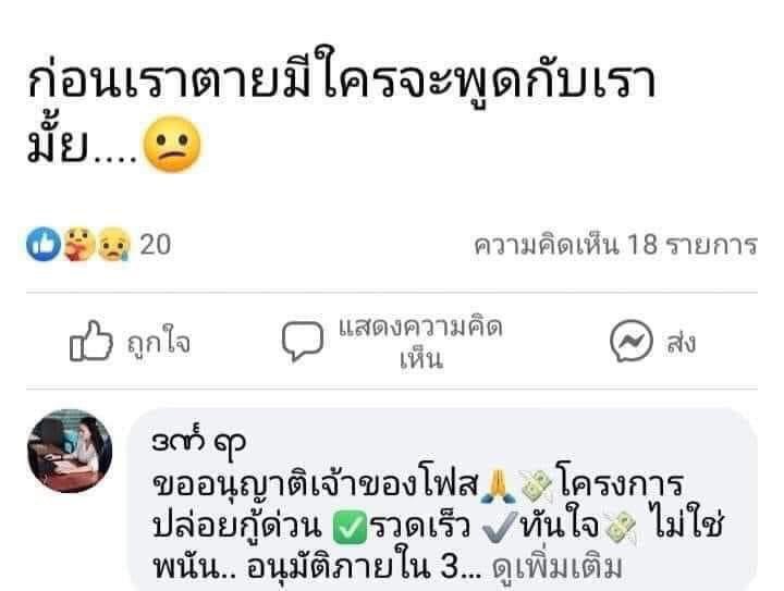 คุณหนูดื้อ 𐙚 tweet media