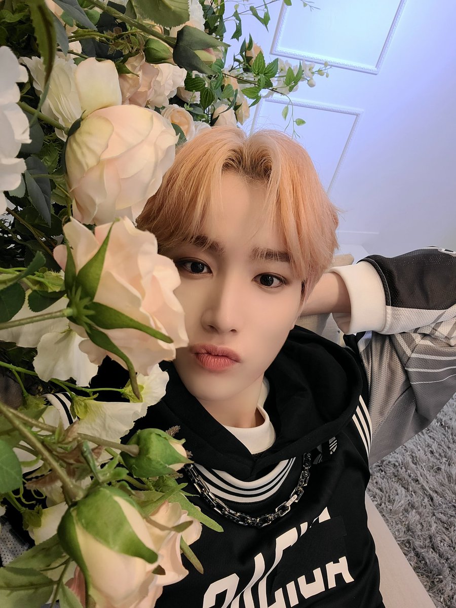 TPST_twt's tweet photo. [#혁] 꽃밭이야~~🌷🌺🌻 물론 내 왼쪽이. https://t.co/AfIkyHja3B