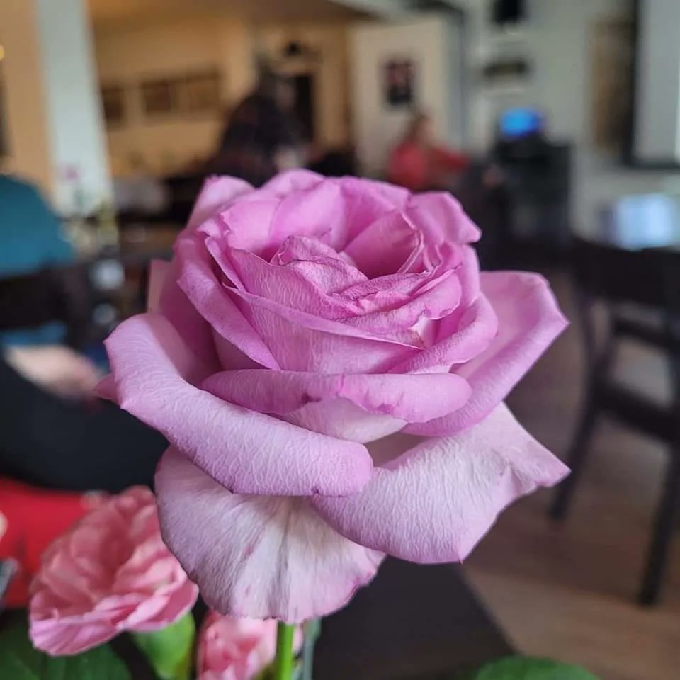 Kiitos #Tampere ja kevätjuhlavieraat – sekä kevätkokoukseen etäyhteyksin osallistuneet! 🥂 Meillä oli oikein mukava ilta: hyvää ruokaa, juomaa ja seuraa, uusia ja vanhoja tuttavuuksia. Erityiskiitos tapahtumavastaaville ja muulle juhlatoimikunnalle! ❤ #sosiaalityö #sosotrssa