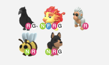 BohkeyBro tweet media