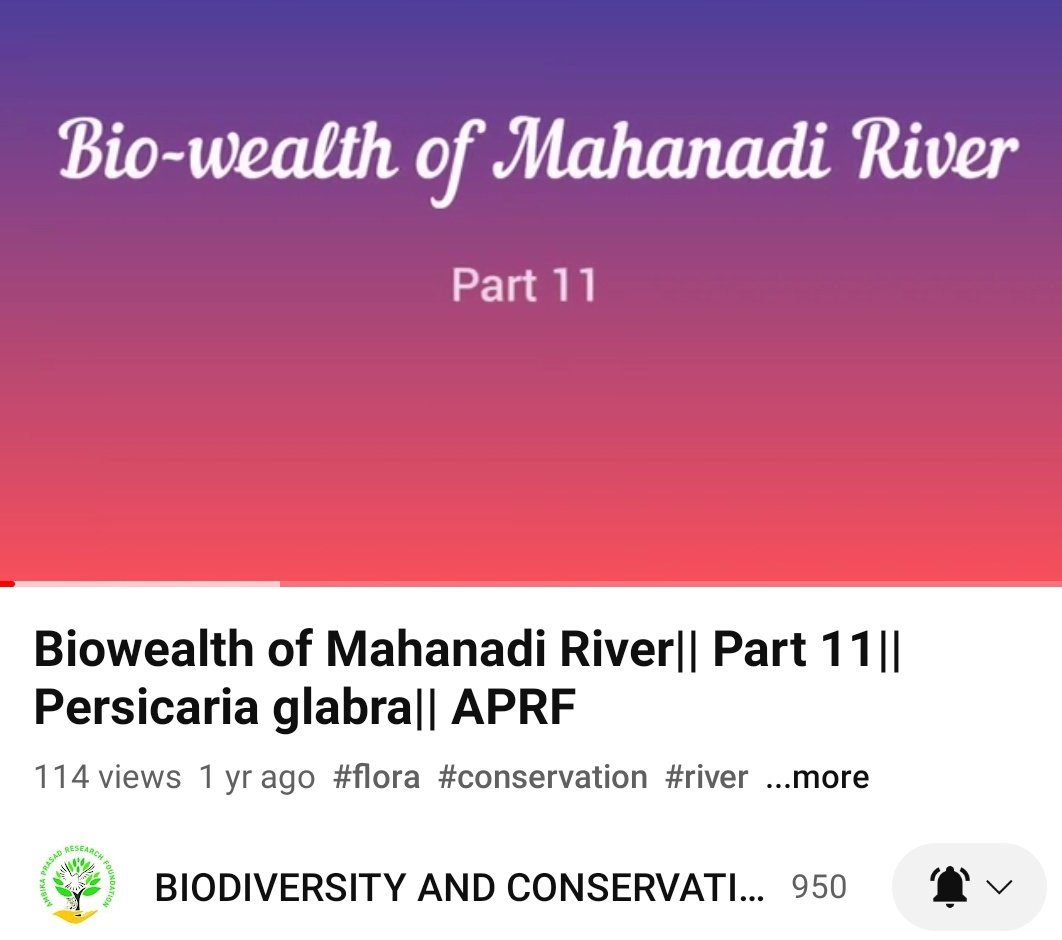 youtu.be/QkKjCEfTtDw
Subscribe and share
Awareness about wetlands
@E17Wetlands @WetlandsTWI @RamsarConv @WetlandsInt @RSPBWeymouth @WWTLondon @USGSWetlands @WetlandsSHNJ @wetlandproject @WorldBankWater @AbpGanga @RiverProjectLA @icarindia @FAOLandWater @IWAHQ @MahanadiRiver