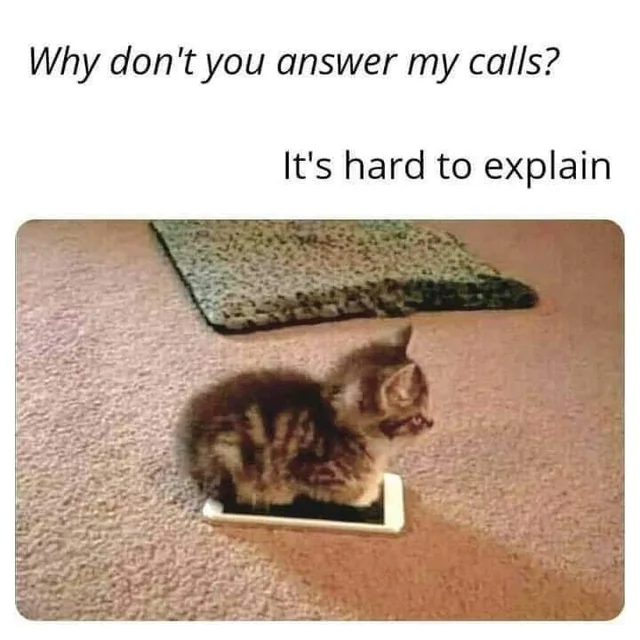 WholesomeMeme's tweet photo. https://t.co/XBdTnTz09l