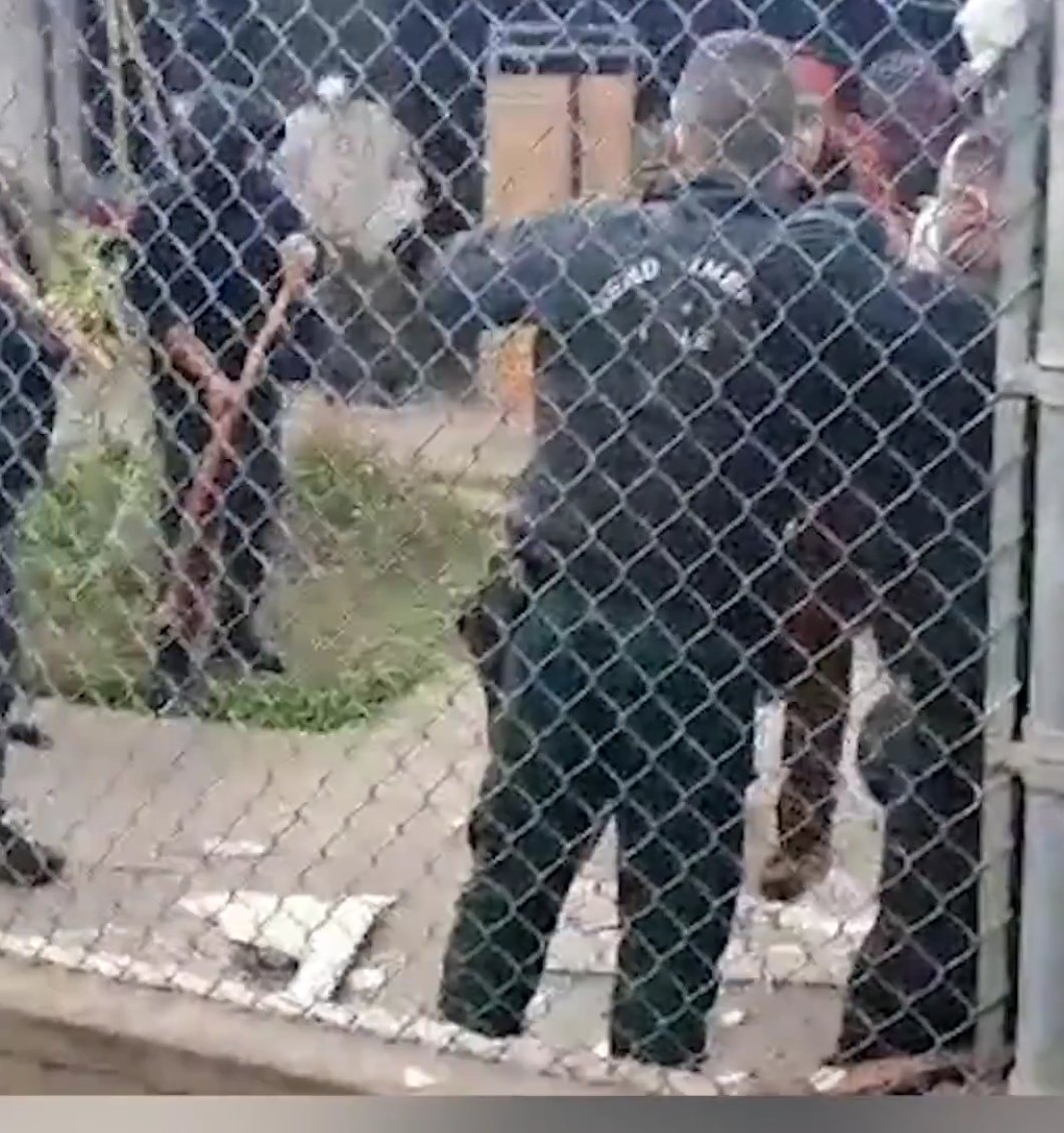 Ismaelvial's tweet photo. Señor presidente @GabrielBoric por qué los reos en la cárcel de Angol tiene palos "chueca"...?, Si están detenidos no deberían poseer esos tipos de elementos, que opina el @GobiernodeChile, @MinjuDDHH, @Camara_cl. https://t.co/iEhSp4tG0n
