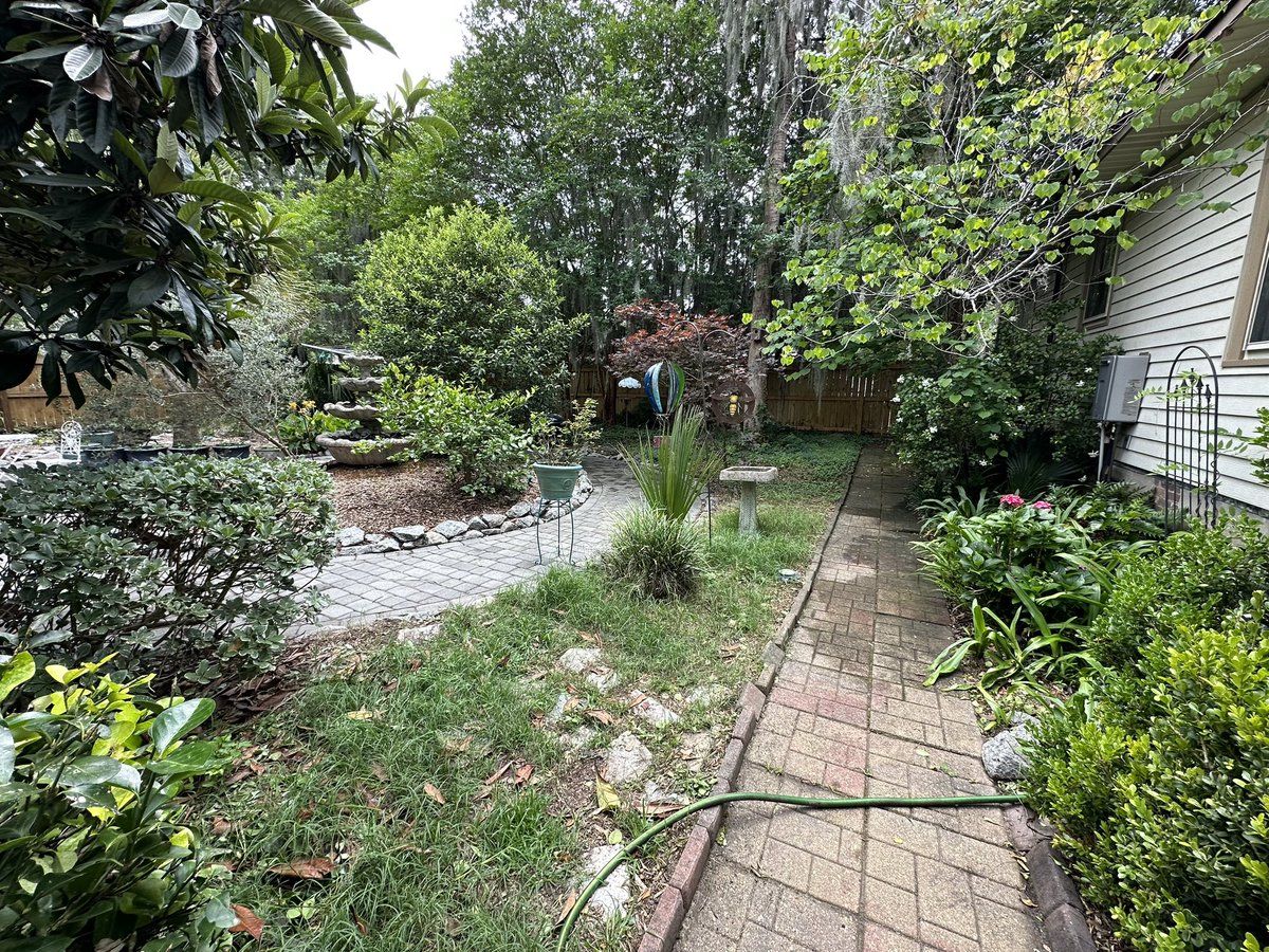 SkinnerPm's tweet image. Back area is looking slightly better. So much to do. I’ve been neglectful. The trick is there is no trick. Tend to your garden every day cuz the little daily good things are what makes a decent life, and, besides, grand gestures are for frauds.