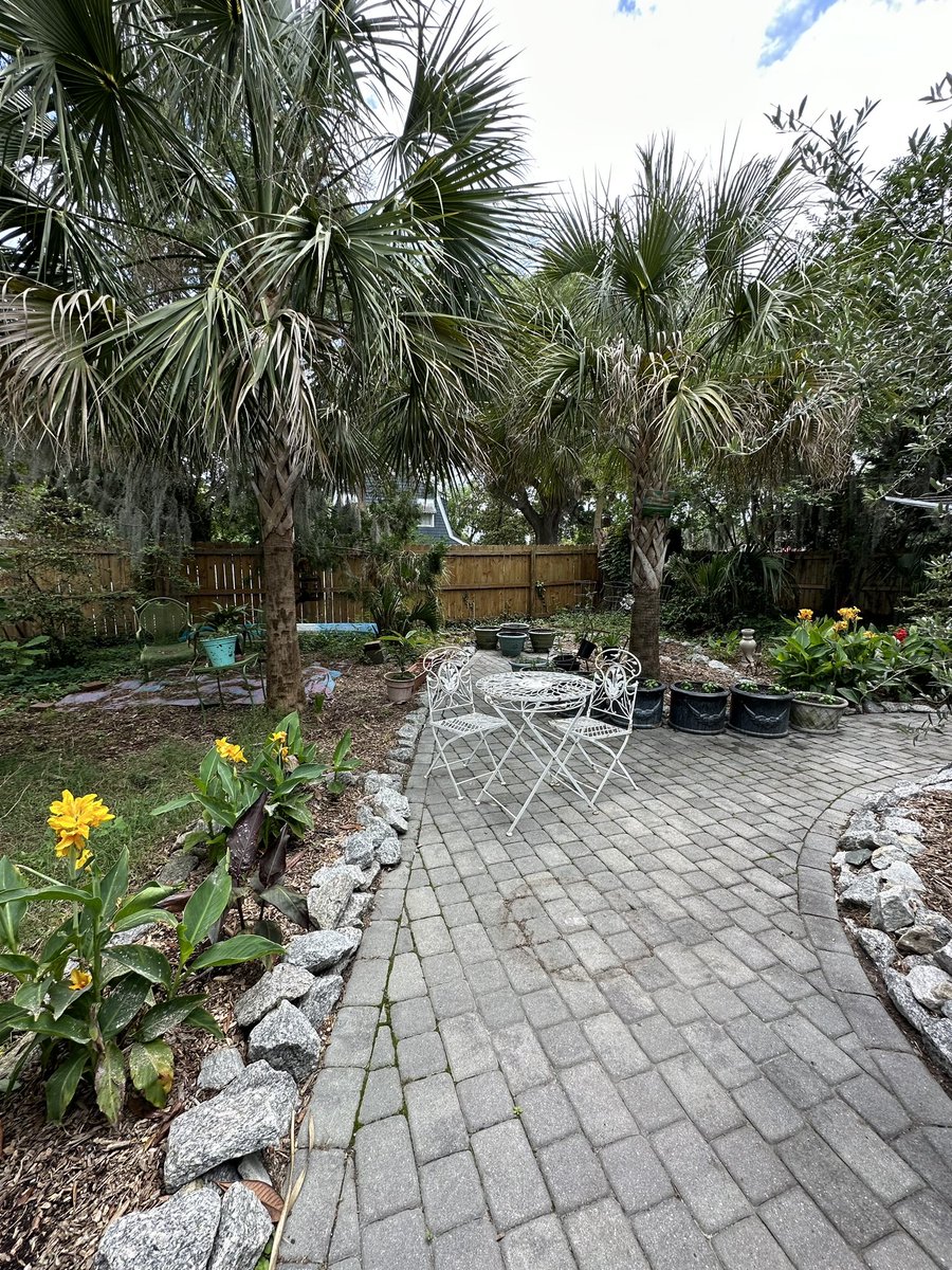 SkinnerPm's tweet image. Back area is looking slightly better. So much to do. I’ve been neglectful. The trick is there is no trick. Tend to your garden every day cuz the little daily good things are what makes a decent life, and, besides, grand gestures are for frauds.
