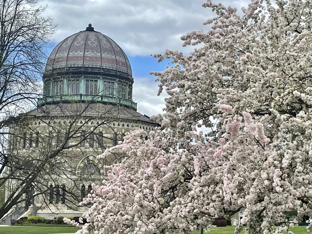 Aidan Dolan tweet media