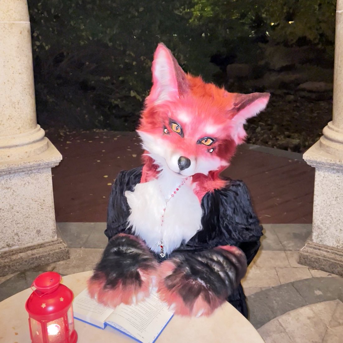 FoxRubymoon's tweet photo. Furry girls！！！ https://t.co/oT8MzA1eLd