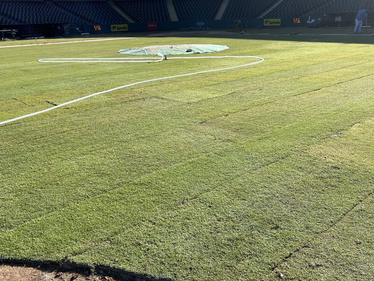 WinsteadMatrix's tweet photo. Installation of @WinsteadMatrix at Chickasaw Bricktown Ballpark. Thank you @W_Jeff_Jackson for the opportunity and support. @winsteadturf @Tahoma31Bermuda @okc_dodgers #ReadyToPlayTurf #naturalgrass #baseball https://t.co/j7aPiMYifK