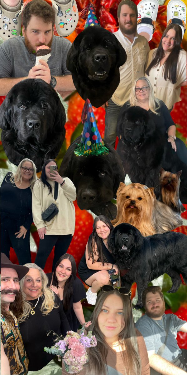 tori_viator's tweet image. My spring collage ft. my favorites