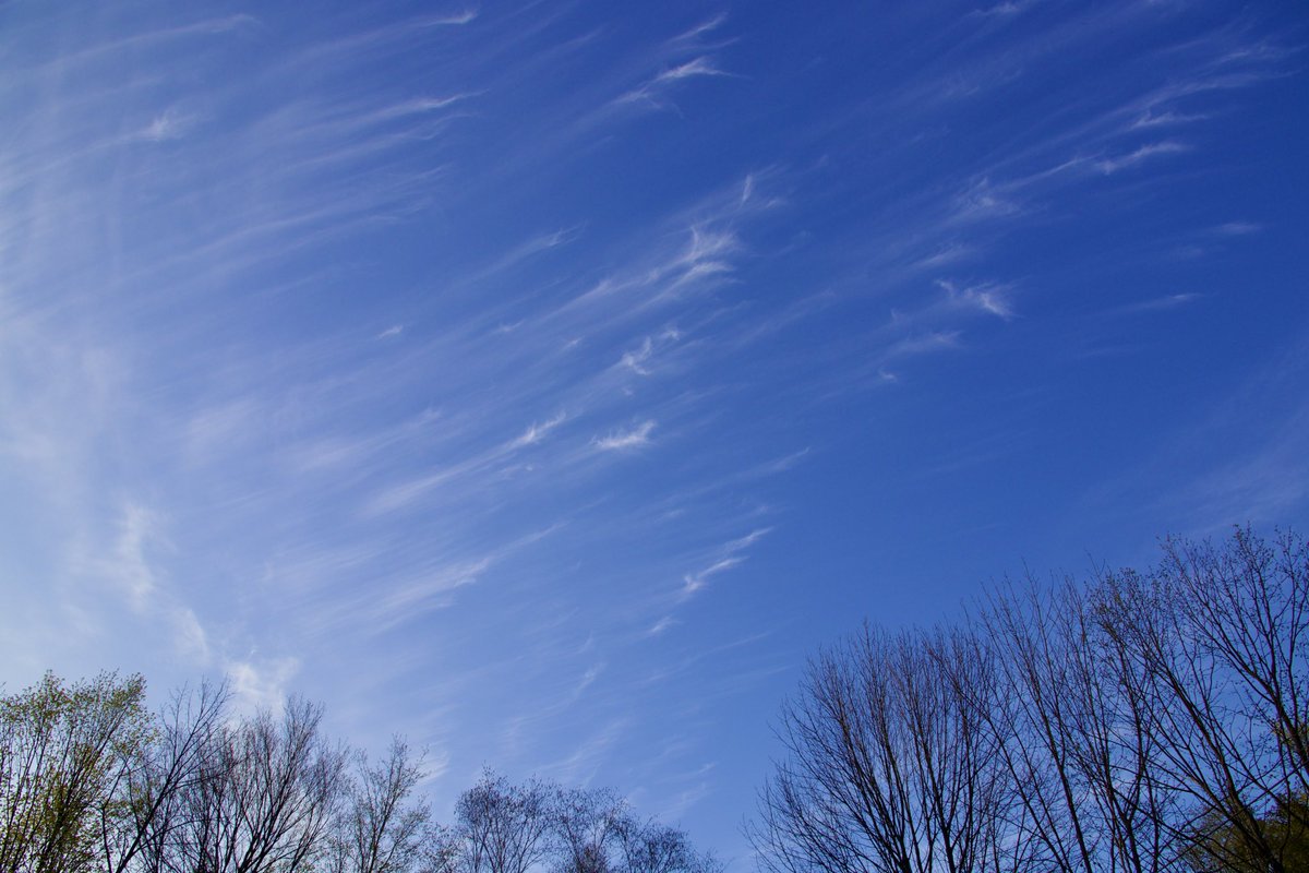 CPudel's tweet image. These clouds appeared over White Lake, Douro-Dummer, ON yesterday.  They have such a pulled cotton look to them.  Are they Cirrus Uncinus clouds? @cottagelife #cottagelifesub #Spring #highclouds #Ontario #CottageCountry