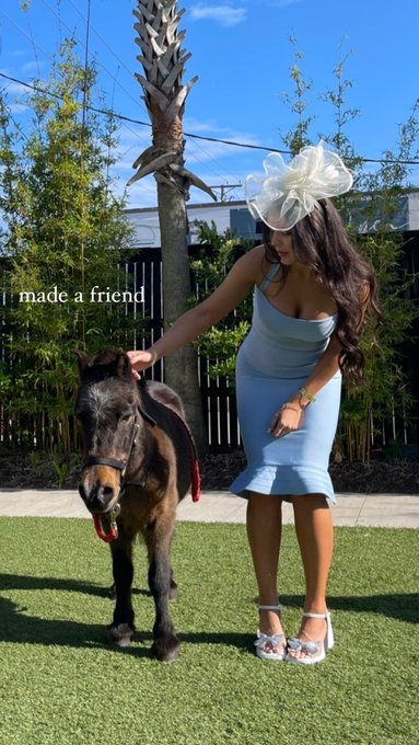 Say hello to my little friend 🐴 https://t.co/H9AUMURdEB<a href="/tag/asmr"class="tags"><span>#asmr</span></a>