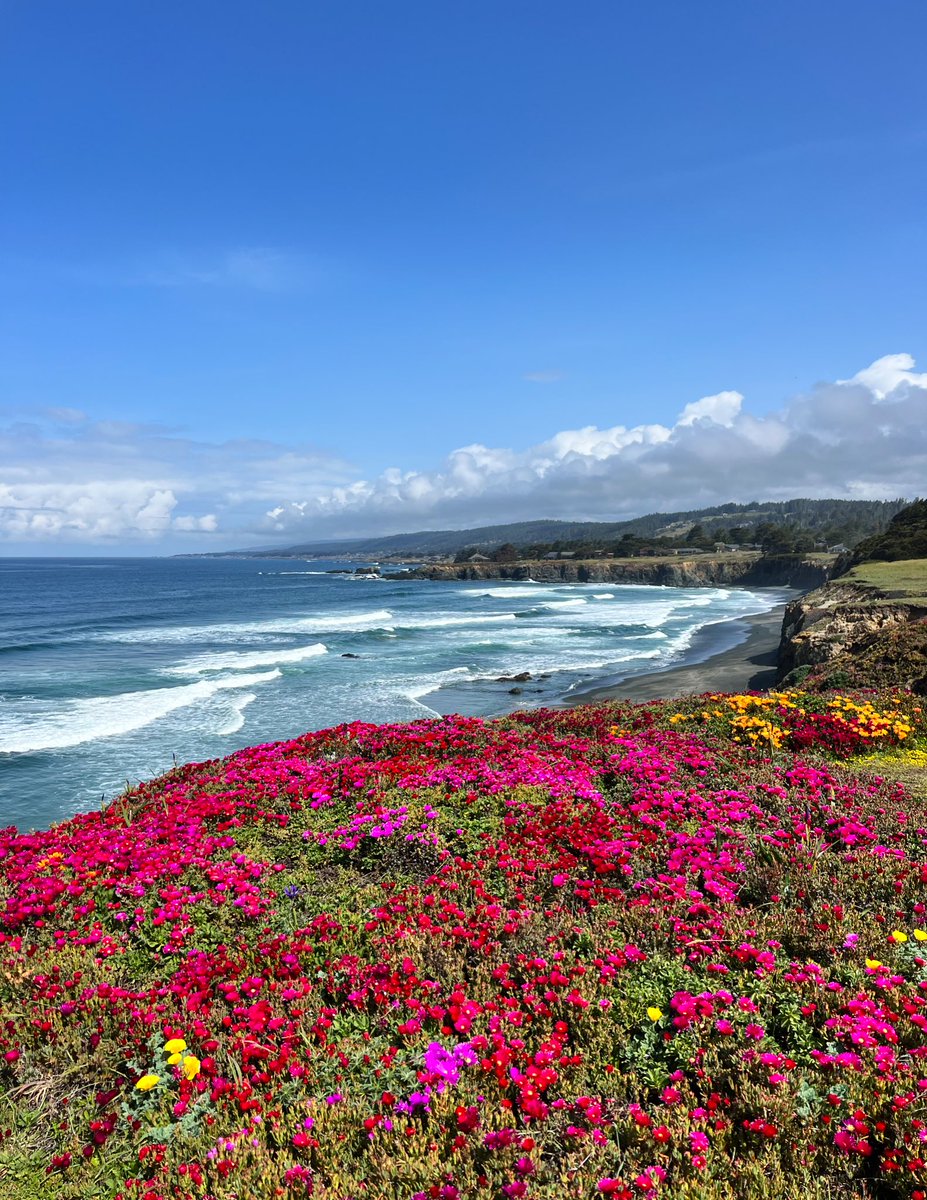 TaliaGold's tweet photo. Sea Ranch https://t.co/lH4JOXk8rg
