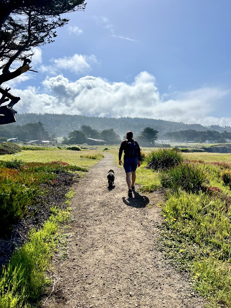 TaliaGold's tweet photo. Sea Ranch https://t.co/lH4JOXk8rg