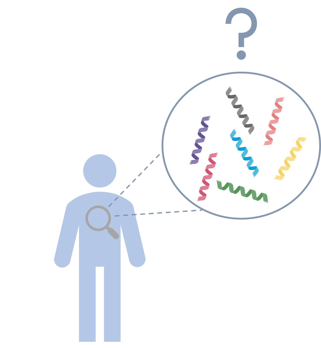 ¿Qué os parecería si os digo que LL-37 podría tener un rol protector🥊 frente al Parkinson gracias a sus características anti-oligoméricas? ¿O si os dijese que podríamos tener en nuestro interior muchos otros péptidos con estas propiedades tan interesantes a nivel terapéutico👀?