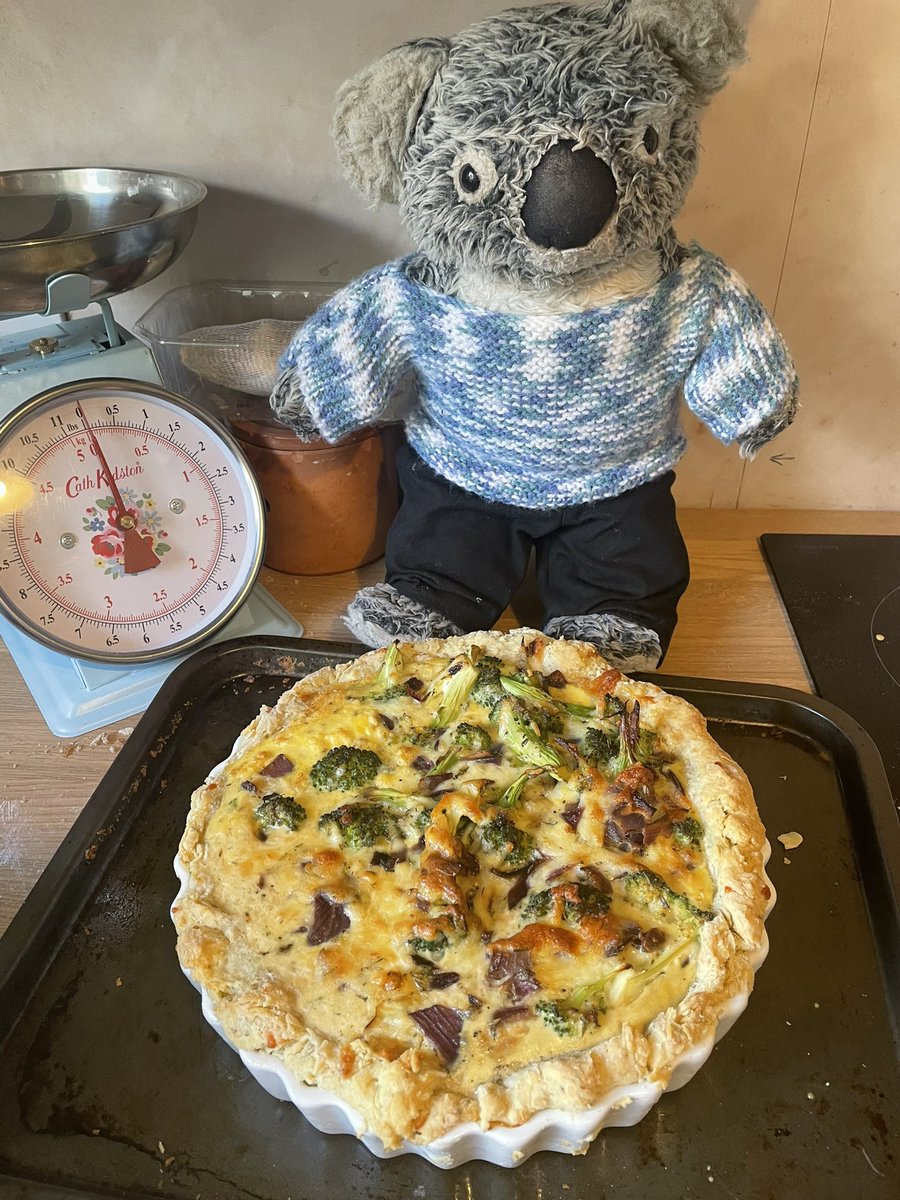 Kenny koala tweet media