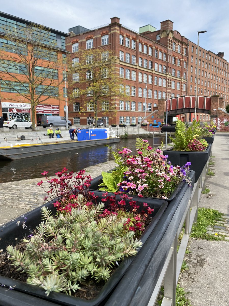 KayFKeane's tweet image. Lots of walking around my new workplace @urban_medical, a little cycling and back to running saw me hit 32 miles this week and a year to date total of 807 miles.  

#nhs1000miles @GmMoving #activesoles #thatcounts