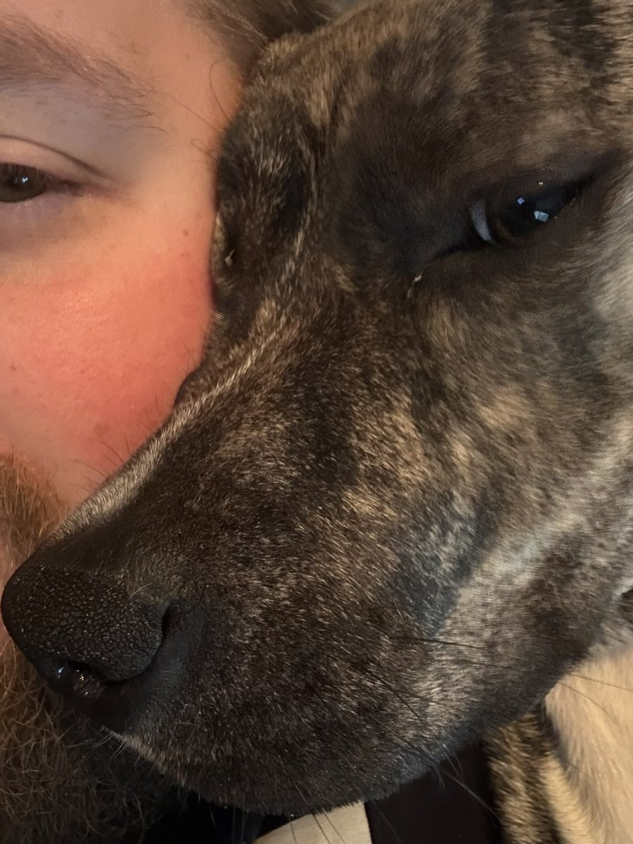 pjod1995's tweet photo. Personal space does not exist with this pup https://t.co/8edpCyQBcb