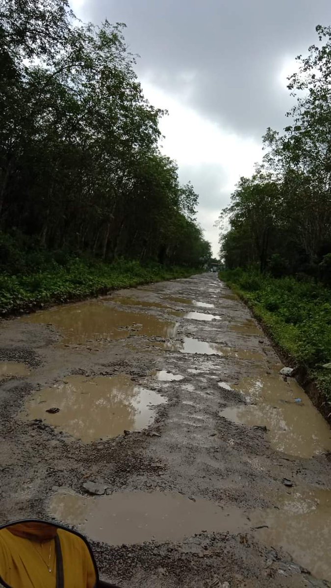 putrasaputra277's tweet photo. @borisbokir Pokoknya gas teros sampek pak @jokowi respon karna sama-sama 2 periode sama lurah nya
Desa Kertosari kecamatan tanjungsari kabupaten lampung selatan https://t.co/4oeR99jbey