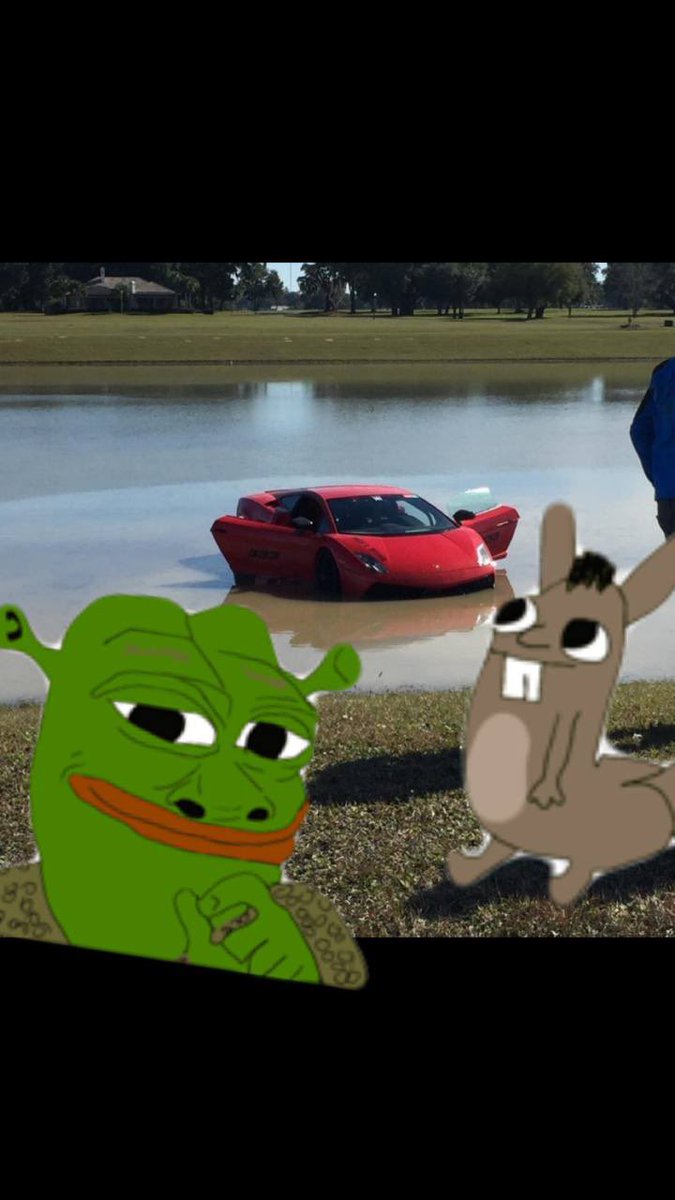 SHREK ERC OFFICIAL tweet media