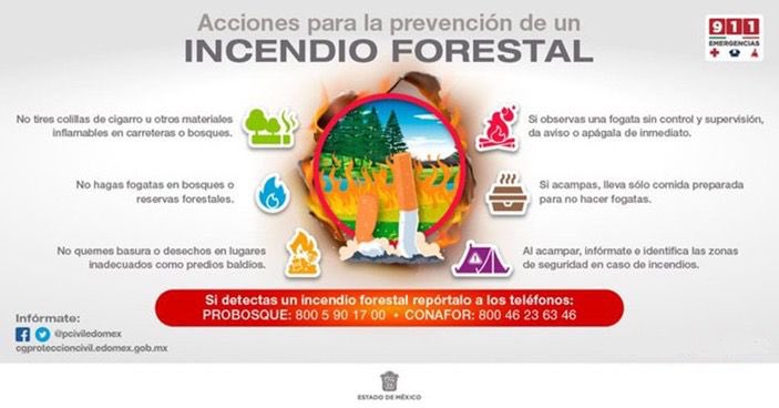 El 99% de los🔥🌳 #IncendiosForestales son provocados por descuido🙍🏻‍♂️humano. Si detectas un #IncendioForestal, 📞 repórtalo de inmediato a las 🚒 autoridades y sigue estas recomendaciones: