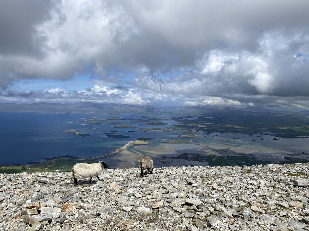 Croagh Patrick. .#clewbay #croaghpatrick