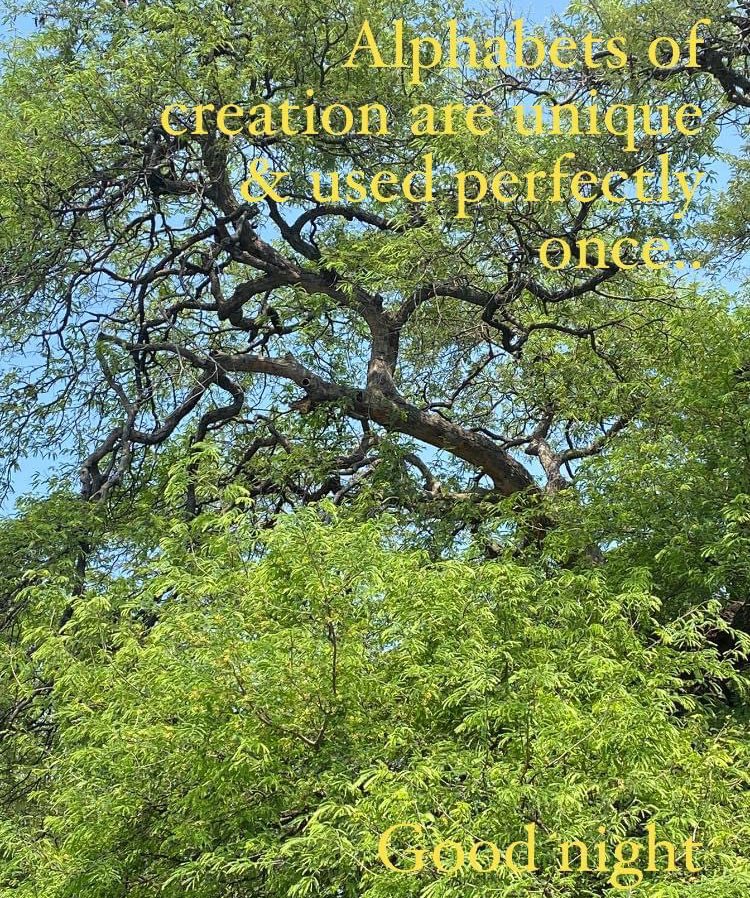 wisdom_exposed's tweet photo. #spirituality #nature #creator https://t.co/kW9ElgWzQA