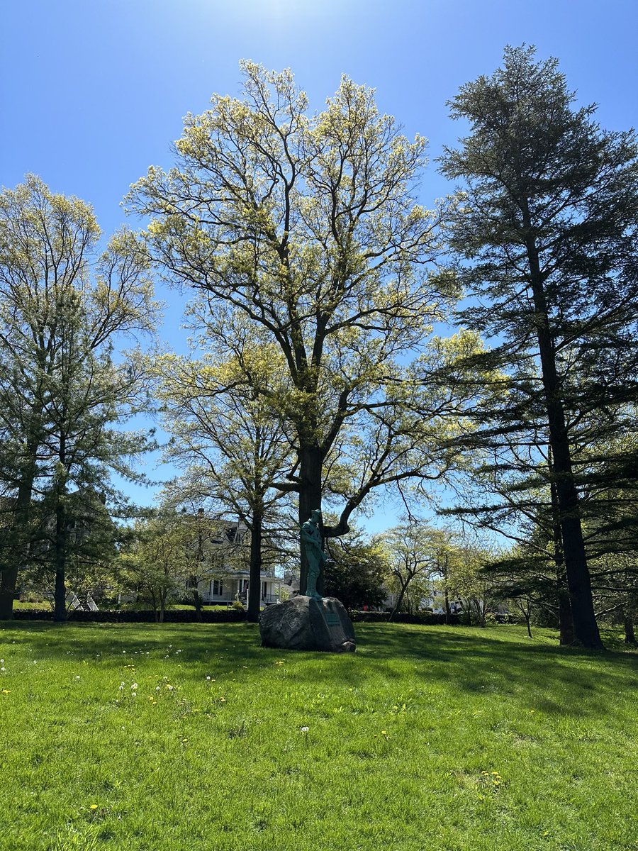 Beautiful day in the Park  #WilcoxPark