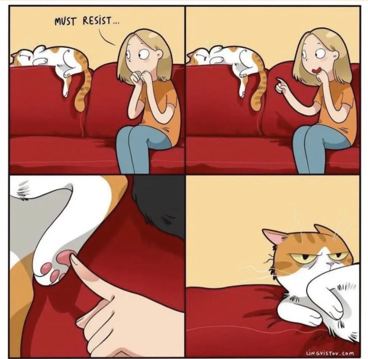PetsPawsMag's tweet photo. It do be like that πππΎ
#cats #CatsAreFamily #pets #petspaws https://t.co/Pf6UryHShq