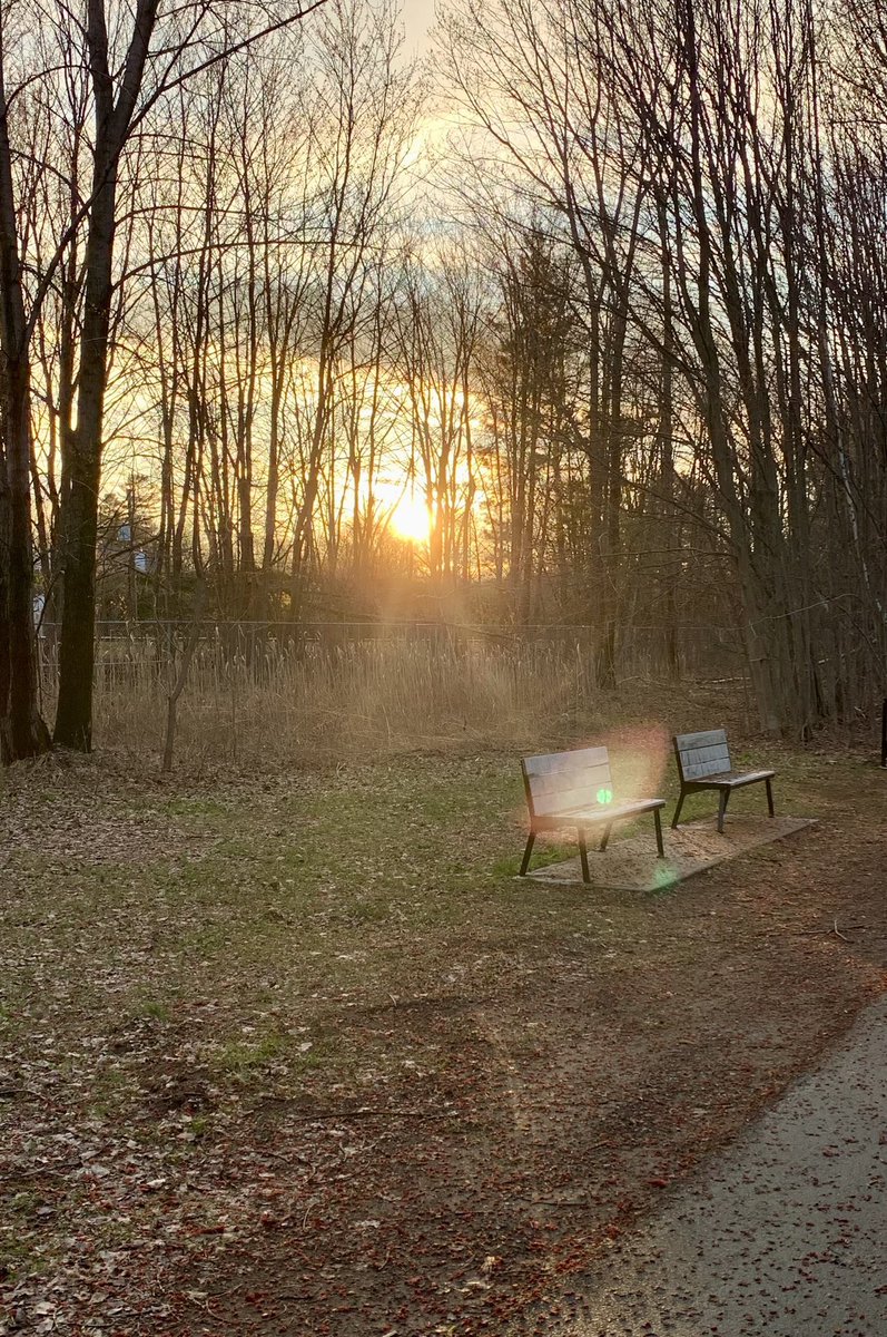 Last night I caught a ray of sunshine resting on a bench along the bike path. 💛