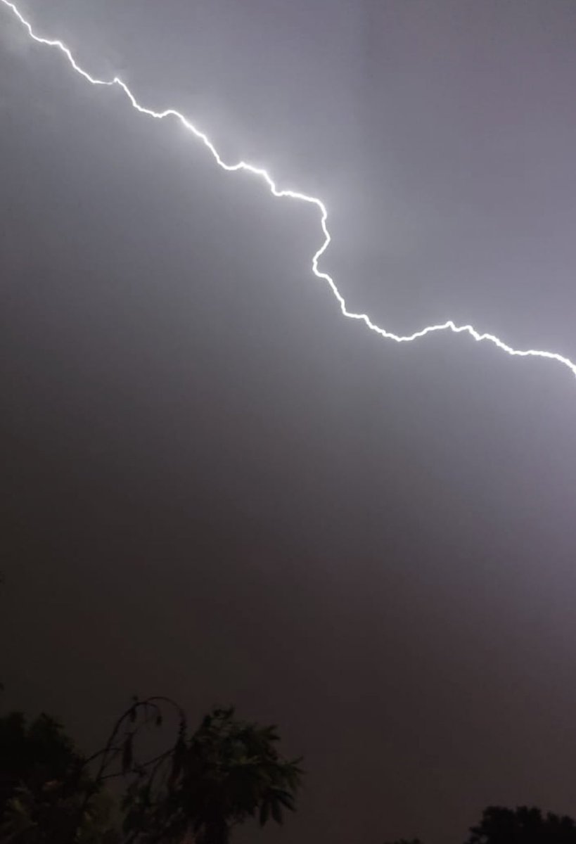 Maria Rauf tweet media