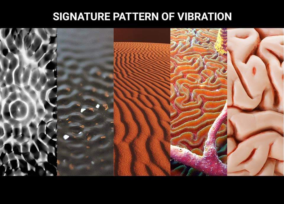 qphysicsmza's tweet photo. "If you want to find the secrets of the universe, think in terms of energy, frequency and vibration." 
– Nikola Tesla https://t.co/qyQlPGau1k