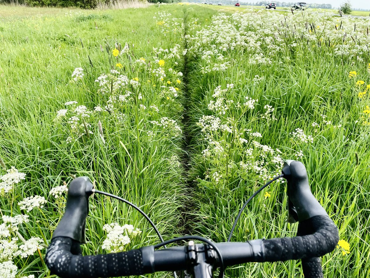 hierendaar's tweet photo. Gravellen/grassen/fietsen in de polder. #landscape_capture #cycling #gravel #polder #krimpenerwaard https://t.co/KYGqLZnVVt