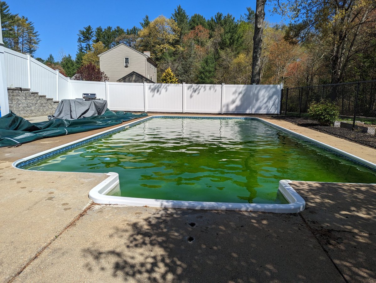 bhenry1334's tweet photo. It's here! 2023 #poolszn https://t.co/U0GNksT5Ix