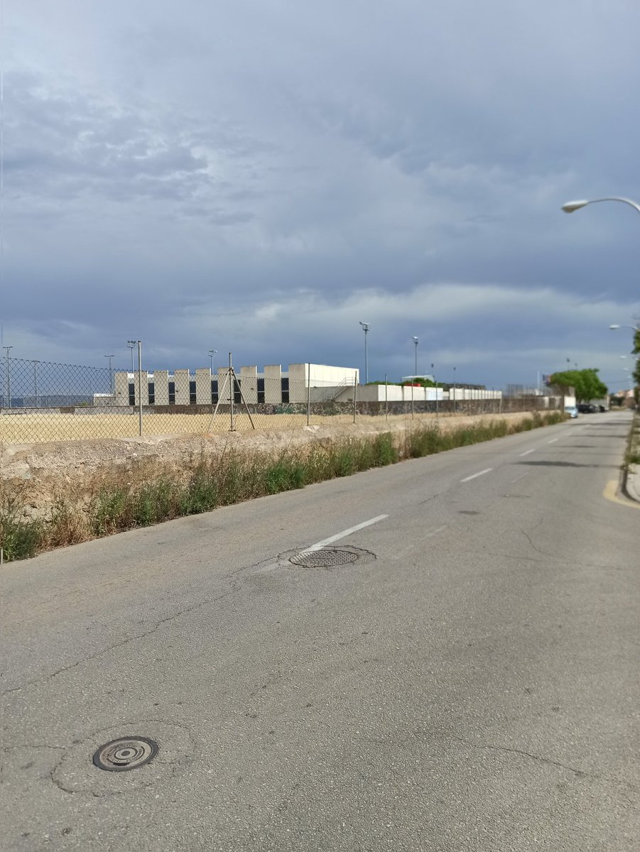 Mar Merino tweet media