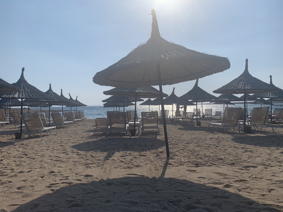 Awaiting the sunset.