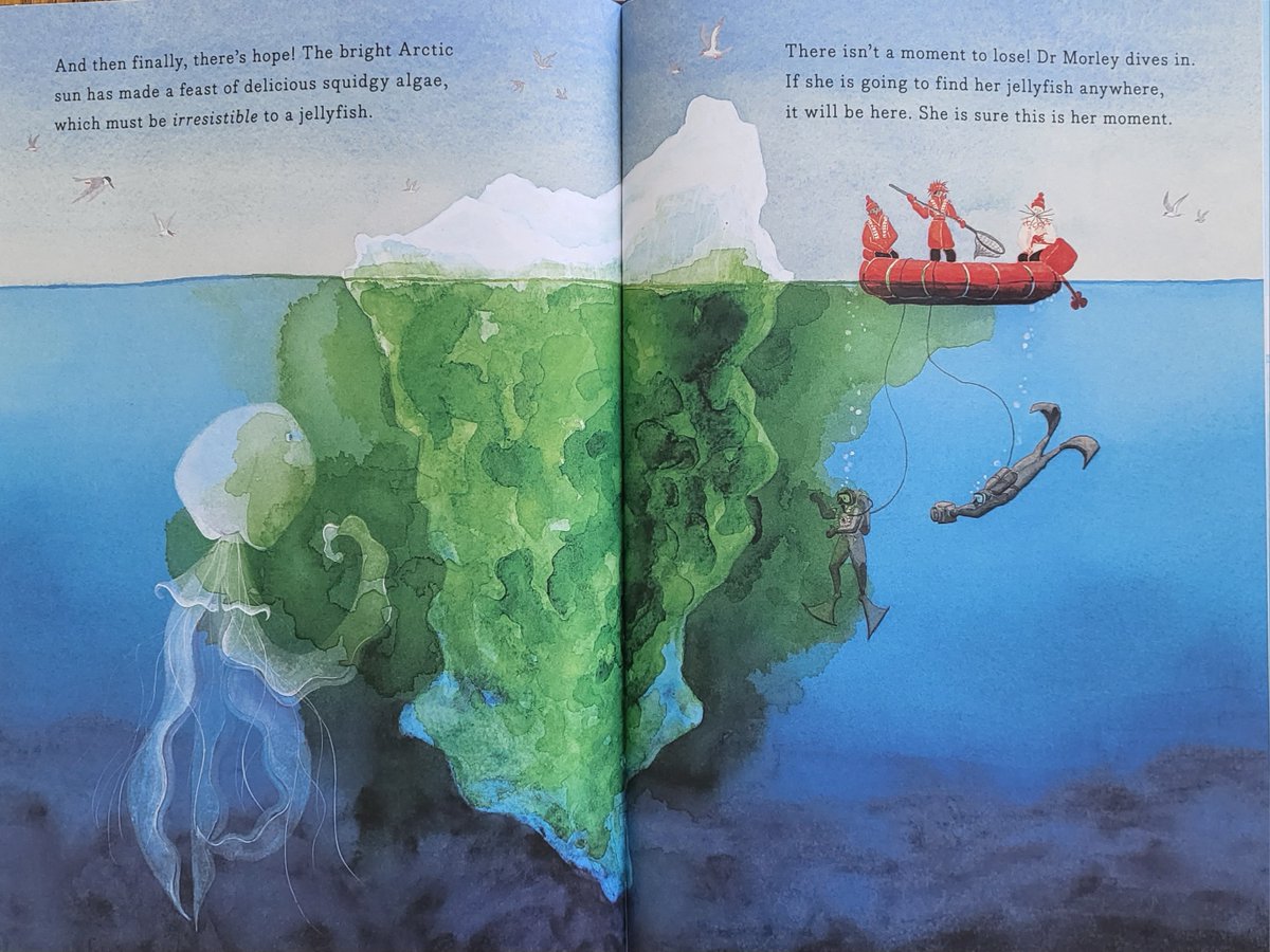 Mat_at_Brookes's tweet photo. This will be my last @klausflugge share for the day. It's a pleasure to share @chloesavageart brilliant debut. We follow Dr. Morley and her crew as they show great endurance and perseverance in trying to find the Giant Arctic Jellyfish. Will they discover it in the end? https://t.co/081oBN07mN
